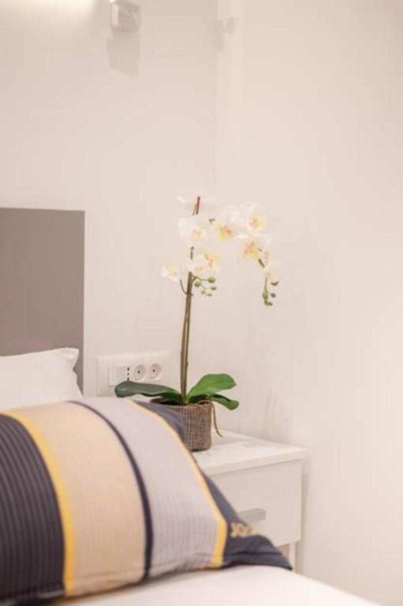 Canta Amore Suites Zadar Exteriör bild